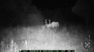 Maxwell Nebraska Lincoln County hunting land for sale