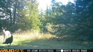 Maxwell Nebraska Lincoln County hunting land for sale