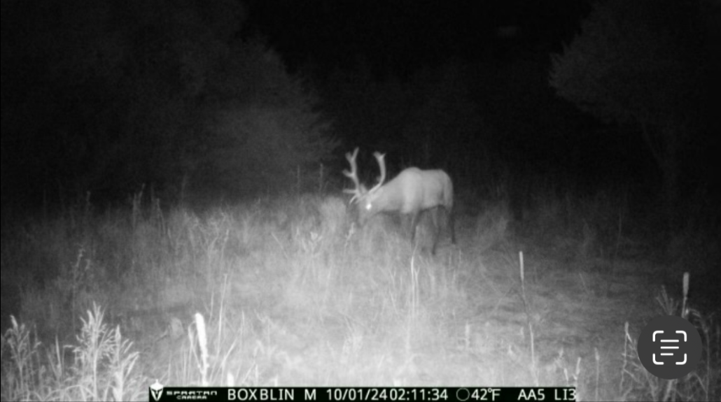 Maxwell Nebraska Lincoln County hunting land for sale
