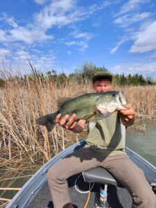 112 Acres, Maxwell Lake Retreat and Hunting
