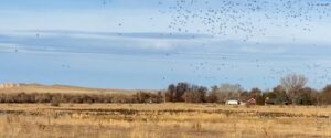 Waterfowl hunting property for sale Nebraska