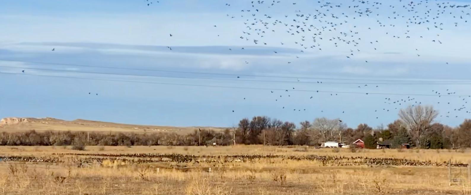 Waterfowl hunting property for sale Nebraska