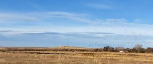 Waterfowl hunting property for sale Nebraska