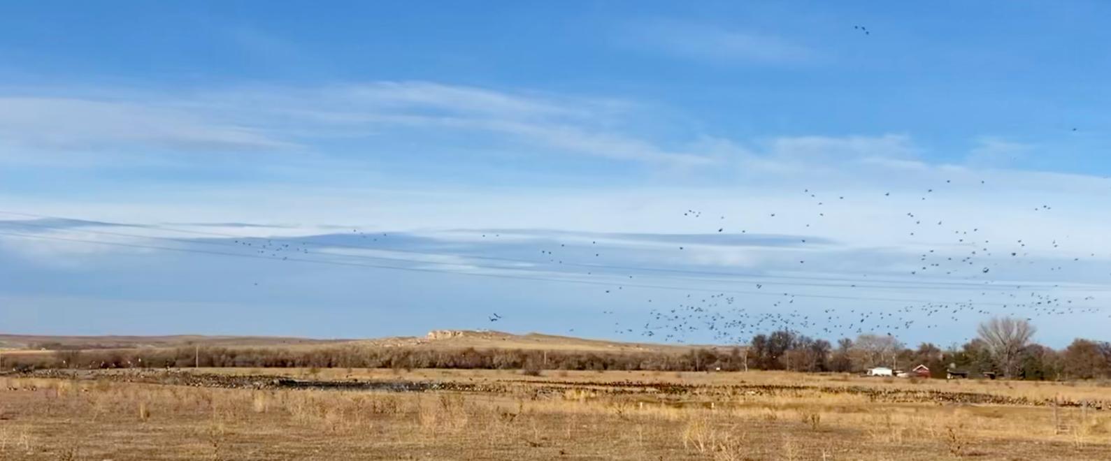 Waterfowl hunting property for sale Nebraska