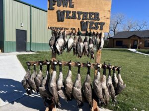 60 Acres, Fowl Weather Waterfowl Paradise