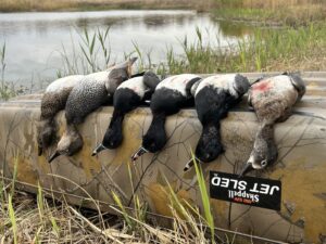 60 Acres, Fowl Weather Waterfowl Paradise