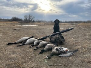 60 Acres, Fowl Weather Waterfowl Paradise