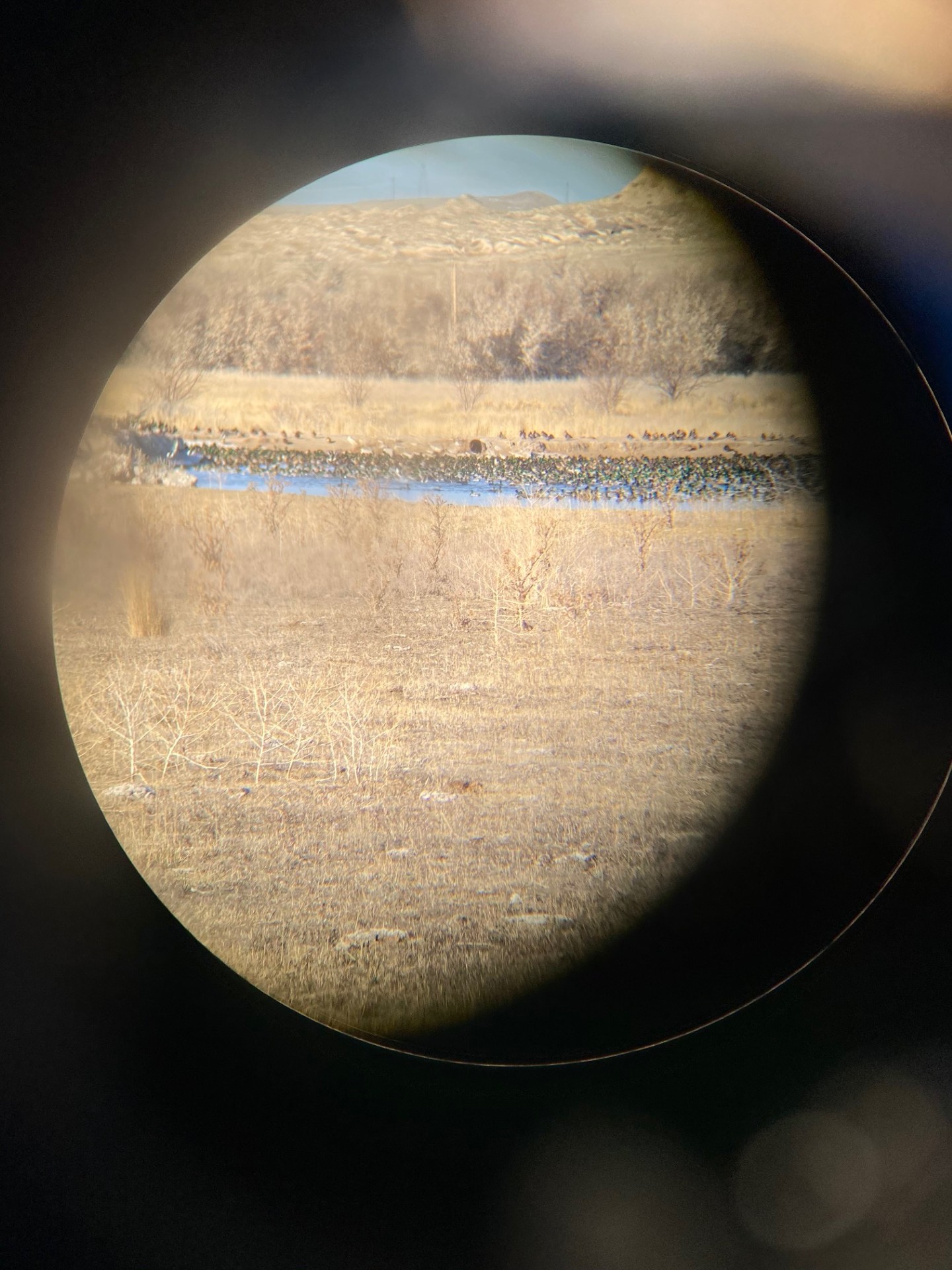 Waterfowl hunting property for sale Nebraska