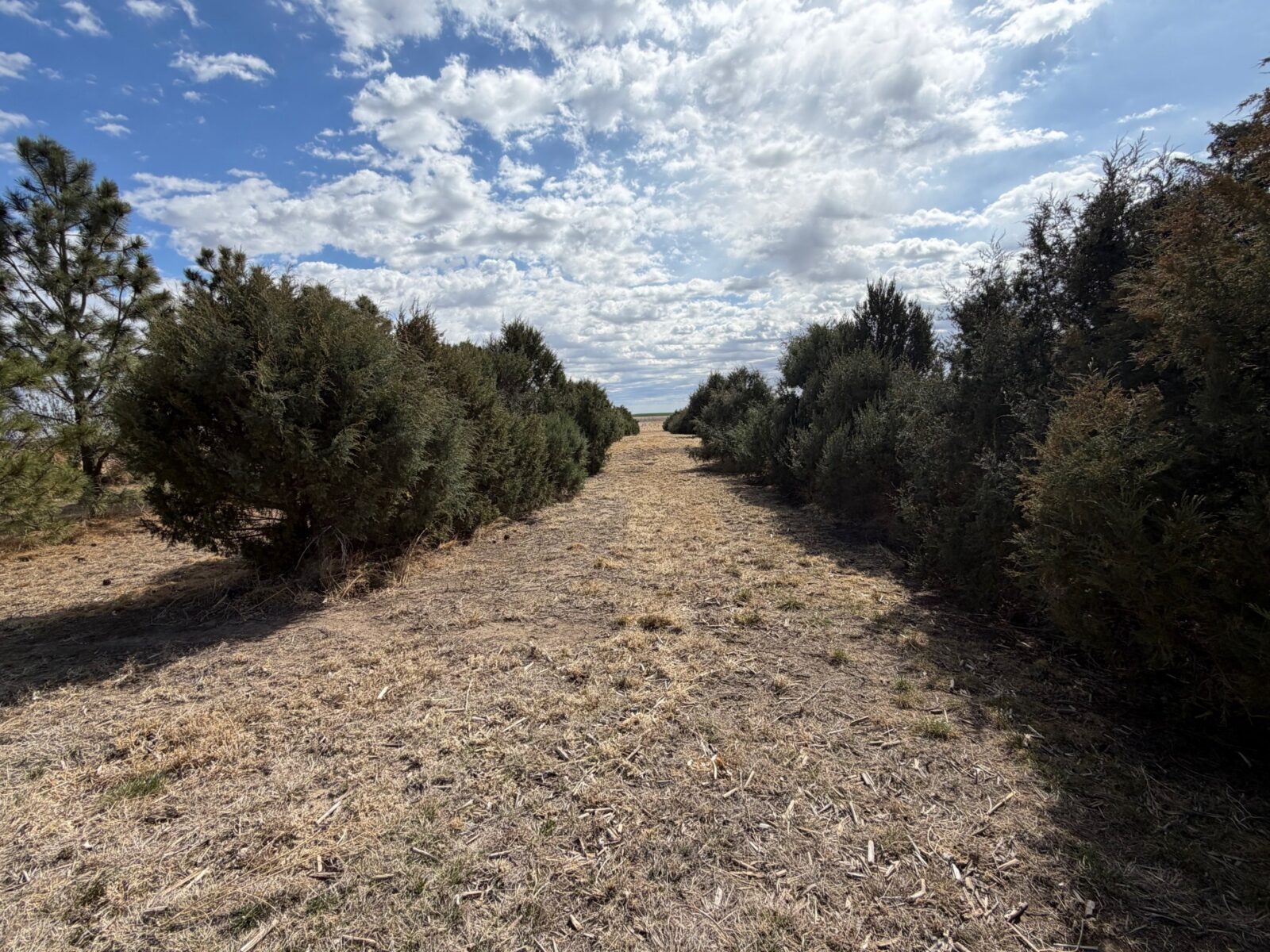 1851 Road 189 Big Springs, NE home with acreage for sale