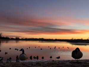 Waterfowl hunting land for sale Nebraska