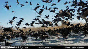Waterfowl hunting land for sale Nebraska