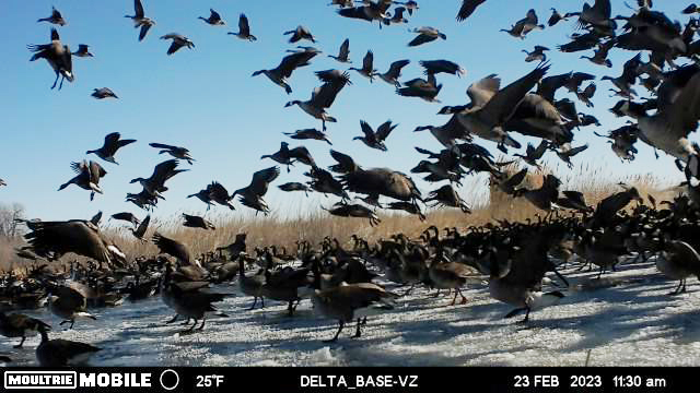 Waterfowl hunting land for sale Nebraska