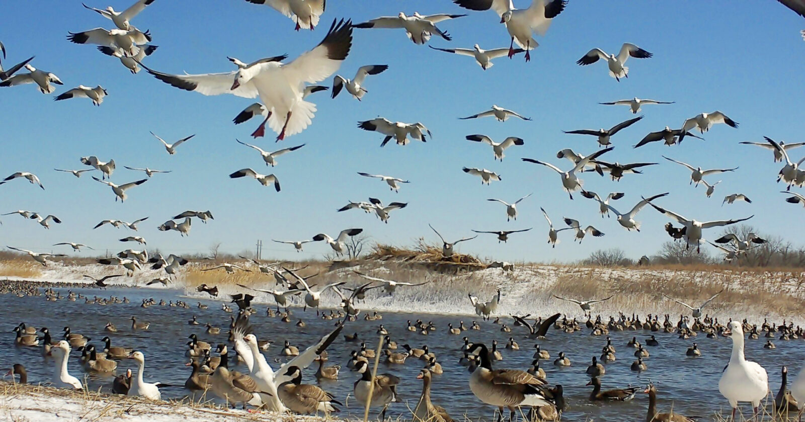 Waterfowl hunting land for sale Nebraska