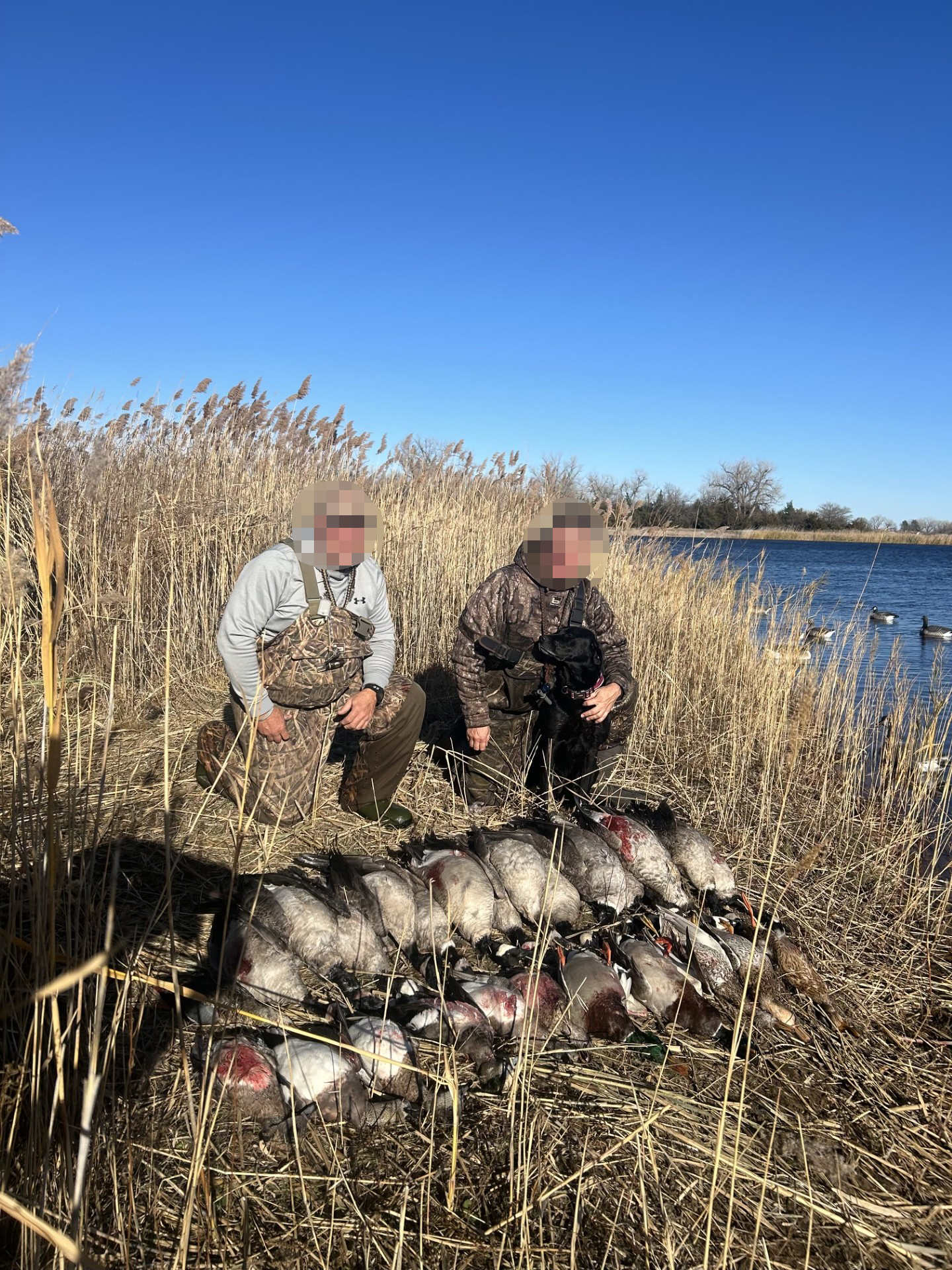 60 Acres, Fowl Weather Waterfowl Paradise
