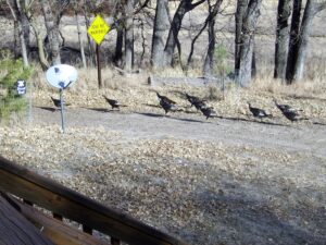 Hunting property for sale Nebraska