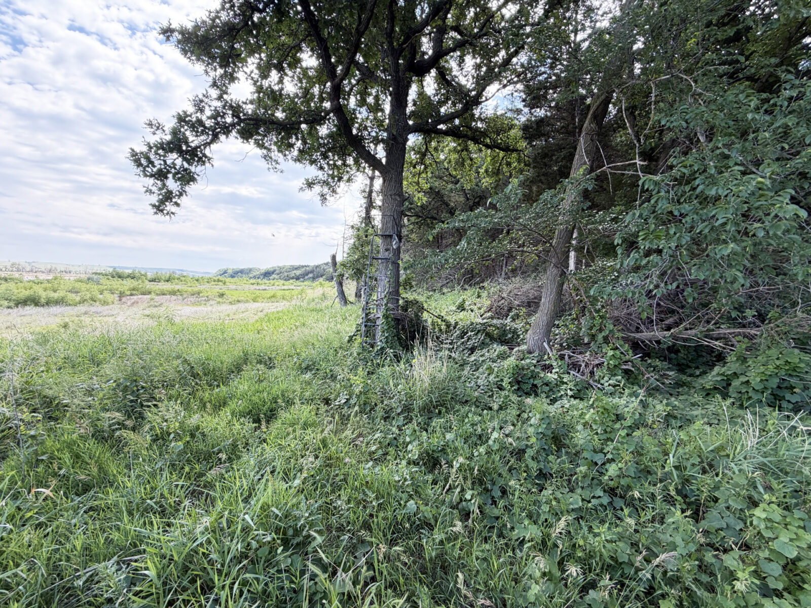 Holt County Nebraska Hunting land for sale