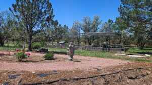 Sidney Nebraska home and land for sale