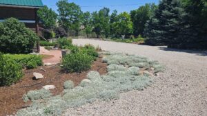 Sidney Nebraska home and land for sale