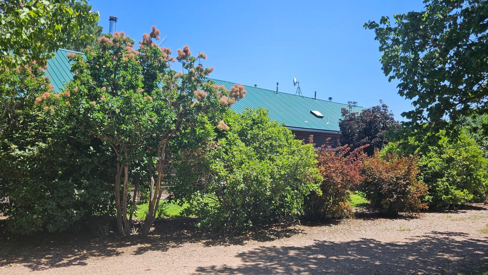 Sidney Nebraska home and land for sale