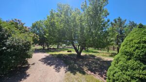 Sidney Nebraska home and land for sale