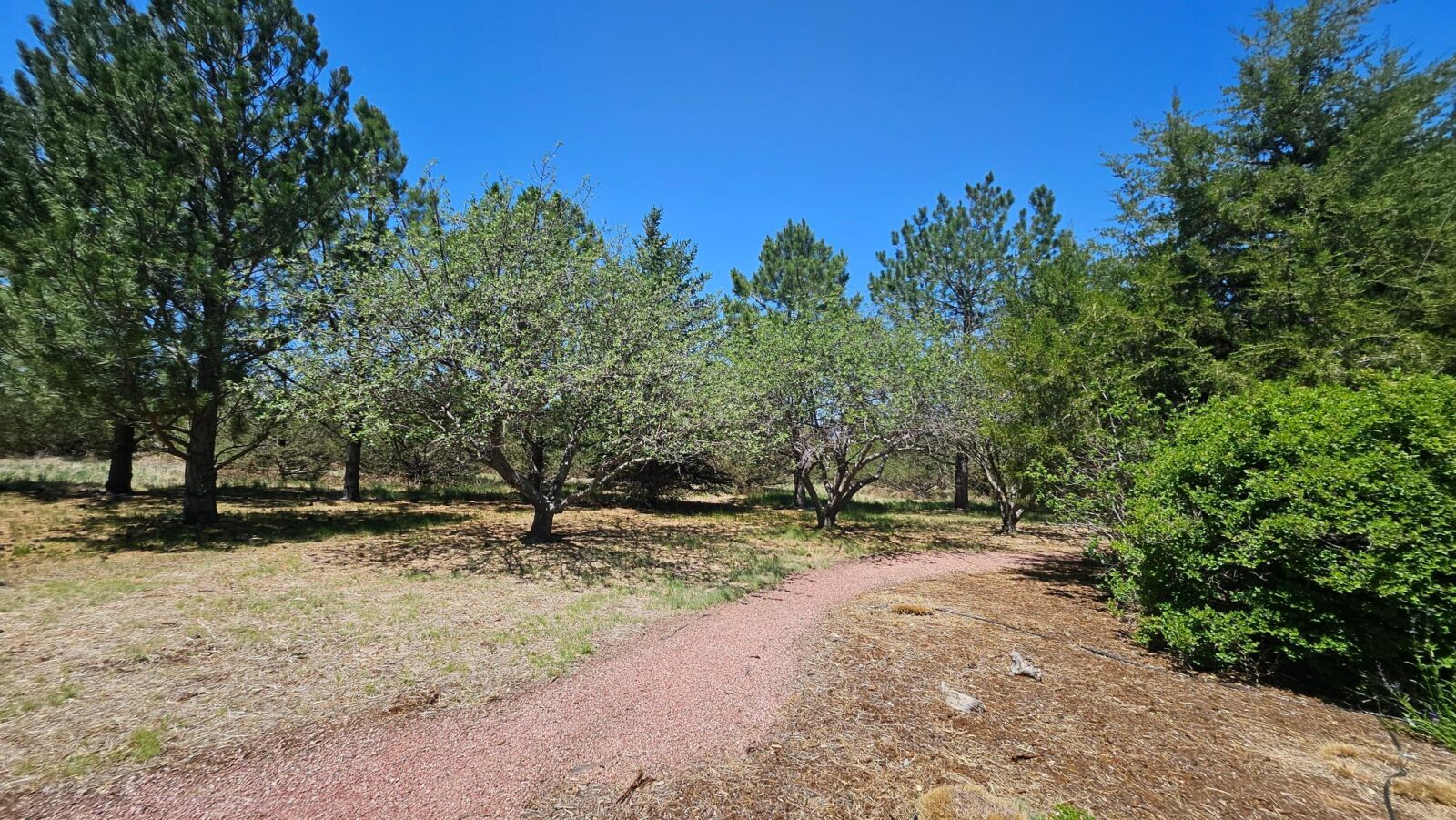 Sidney Nebraska home and land for sale