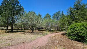 Sidney Nebraska home and land for sale