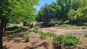 Sidney Nebraska home and land for sale