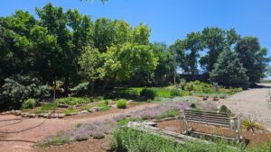 Sidney Nebraska home and land for sale