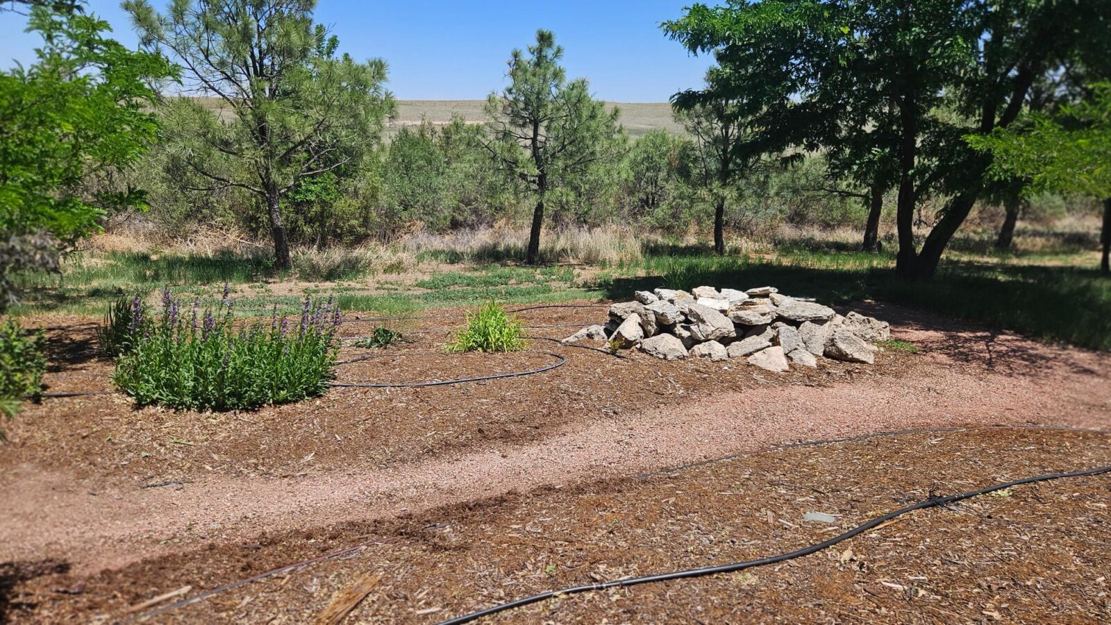 Sidney Nebraska home and land for sale