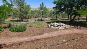 Sidney Nebraska home and land for sale