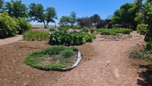 Sidney Nebraska home and land for sale