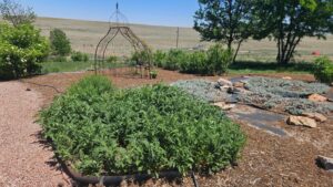 Sidney Nebraska home and land for sale