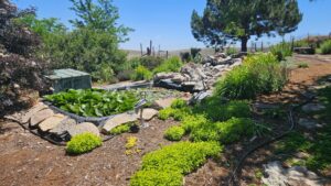 Sidney Nebraska home and land for sale