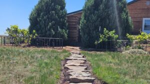 Sidney Nebraska home and land for sale