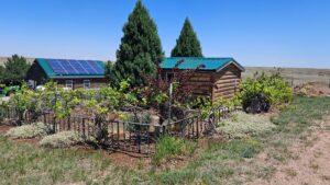 Sidney Nebraska home and land for sale
