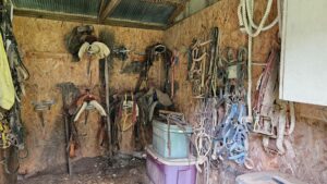 Spalding, Nebraska Greeley County home and acreage for sale