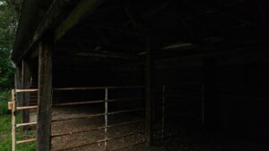 Spalding, Nebraska Greeley County home and acreage for sale
