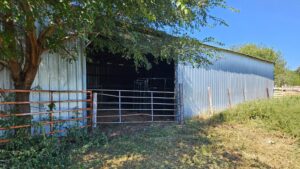 80 Acres, Great Calving Location