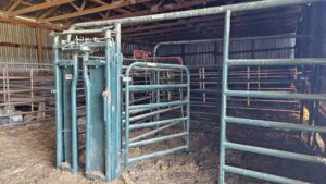 80 Acres, Great Calving Location