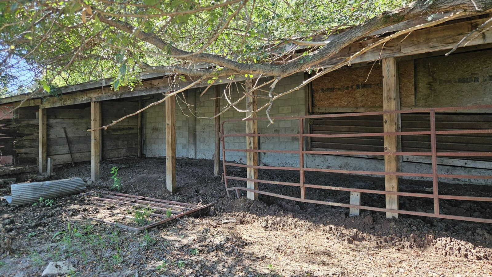 80 Acres, Great Calving Location