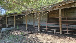 80 Acres, Great Calving Location