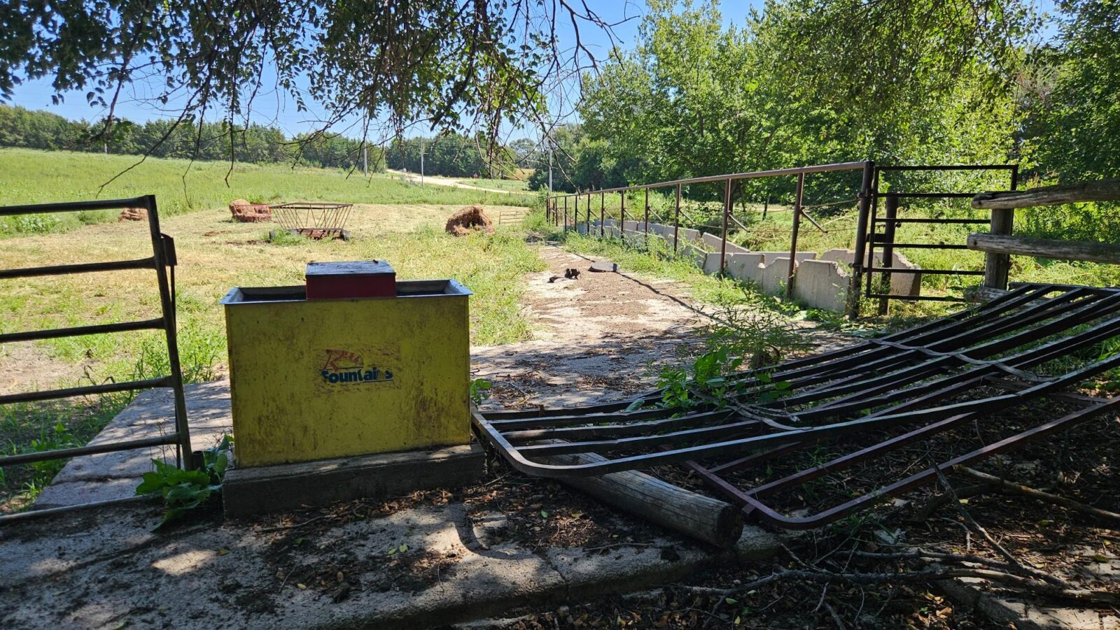 80 Acres, Great Calving Location