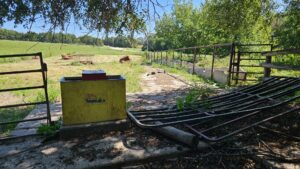 80 Acres, Great Calving Location