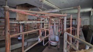 80 Acres, Great Calving Location
