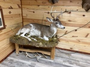 Holt County Nebraska Hunting land for sale