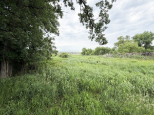Holt County Nebraska Hunting land for sale