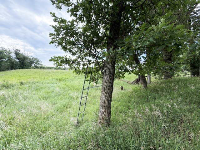 Holt County Nebraska Hunting land for sale
