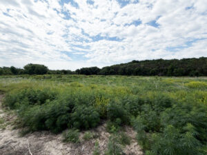 Holt County Nebraska Hunting land for sale