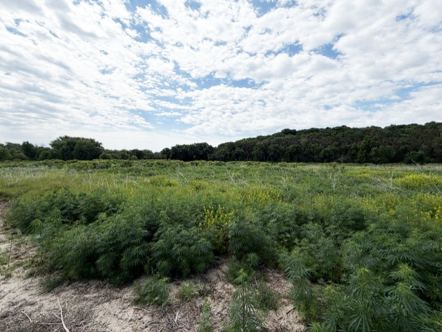 Holt County Nebraska Hunting land for sale