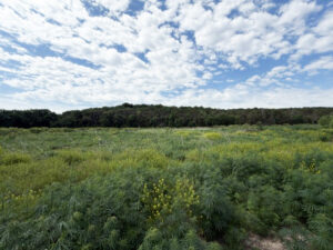 Holt County Nebraska Hunting land for sale